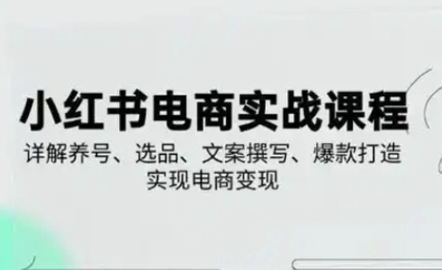 小红书从0-1实操课(2023-2025)，详解养号、选品、文案撰写、爆款打造实现电商变现-華夏云创