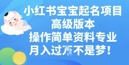 小红书宝宝起名项目高级版本，操作简单，资料专业，月入过W-華夏云创