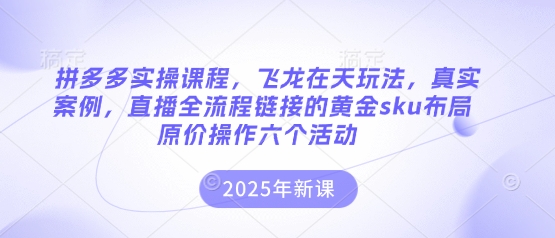 拼多多实操课程，飞龙在天玩法，真实案例，直播全流程链接的黄金sku布局原价操作六个活动-華夏云创