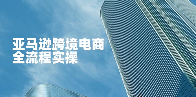 （14252期）亚马逊跨境电商全流程实操，教你从零开始，掌握店铺运营与广告技巧-華夏云创