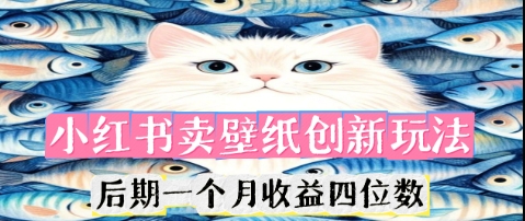 小红书卖壁纸创新玩法，后期一个月收益四位数-華夏云创