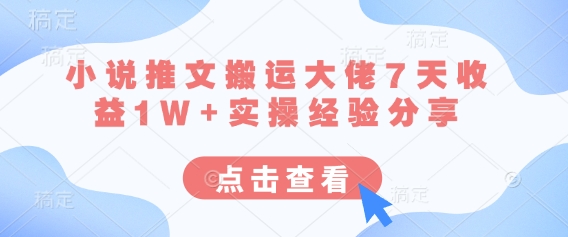 小说推文搬运大佬7天收益1W+实操经验分享-華夏云创