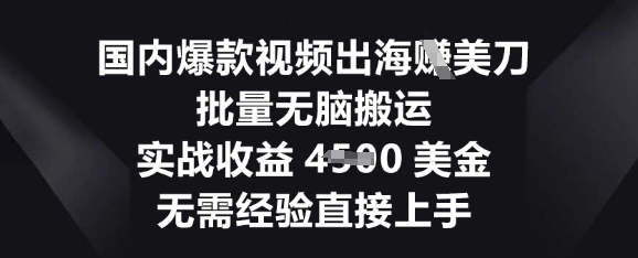 国内爆款视频出海挣美刀，批量无脑搬运，实战收益4.5k，无需经验直接上手-華夏云创