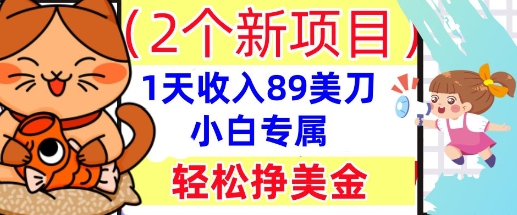 2个新项目，轻松挣美金， 1天收入89美刀，小白专属，干货分享-華夏云创