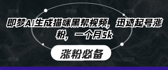 即梦AI生成猫咪黑帮视频，迅速起号涨粉，一个月5k-華夏云创