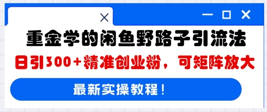 重金学的闲鱼野路子引流法，日引300+精准创业粉，可矩阵放大-華夏云创