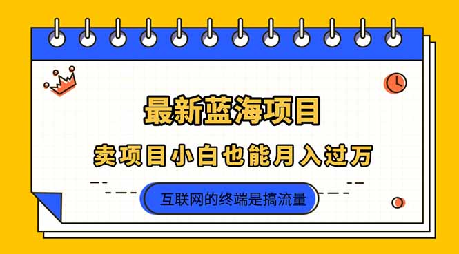 （14289期）2025年最新蓝海项目，卖项目小白也能月入过万-華夏云创