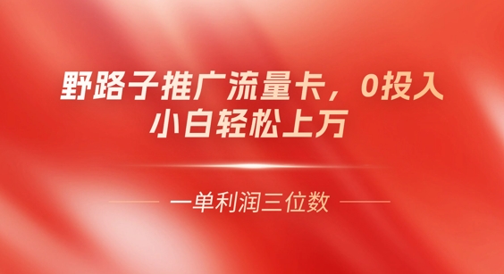 0门槛推广流量卡，一单收益上百，0投入，小白月入过W-華夏云创