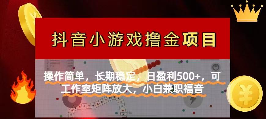 （14290期）【抖音小游戏发行人计划项目】操作简单，长期稳定，日盈利500+，可工作…-華夏云创