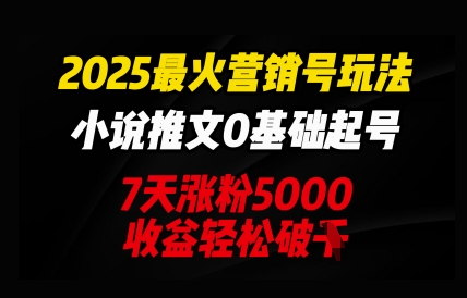 2025最火营销号玩法：小说推文0基础起号，7天涨粉5000，收益轻松破k-華夏云创