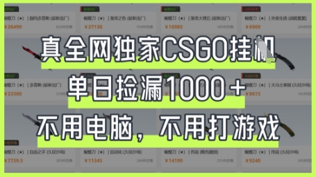 真全网独家CSGO挂G，单日捡漏1k+【揭秘】-華夏云创