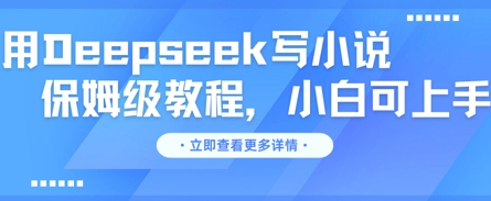 用Deepseek写小说，保姆级教程，小白可实操-華夏云创