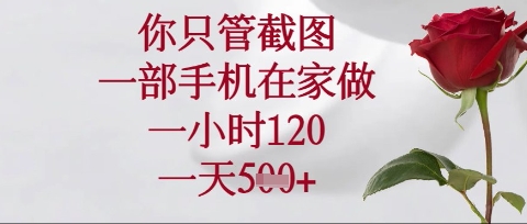 你只管截图，一部手机在家操作，一小时120.一天5张【揭秘】-華夏云创
